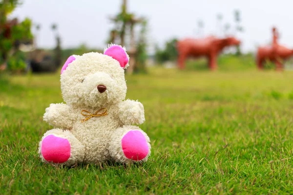 Ведмідь сидить на траві — стокове фото