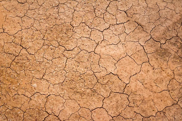 Kuru sezon/küresel ısınma etkisi arka plan topraklarında dünya/çatlamak çatlamak