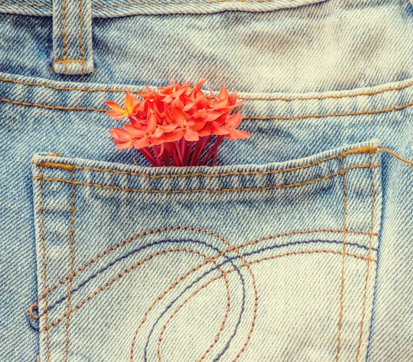 Flower on the jeans — Stock Photo, Image