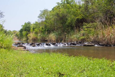 Gizemli rainforest nehir Asya