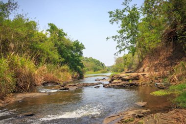 Gizemli rainforest nehir Asya