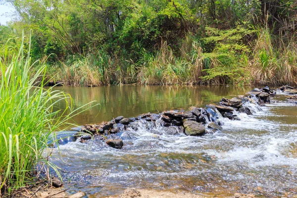 Misteriosa selva tropical río Asia — Foto de Stock