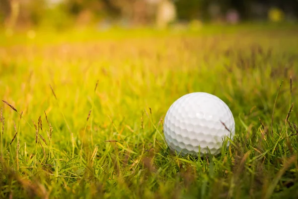 Golfball auf dem Grün — Stockfoto