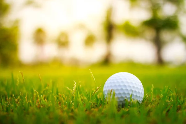 Golfball auf dem Grün — Stockfoto