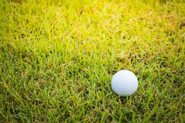 Yeşil Topta Golf Topu — Stok fotoğraf