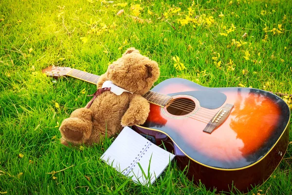 Teddy bear aludni, klasszikus gitár, a mezőben — Stock Fotó