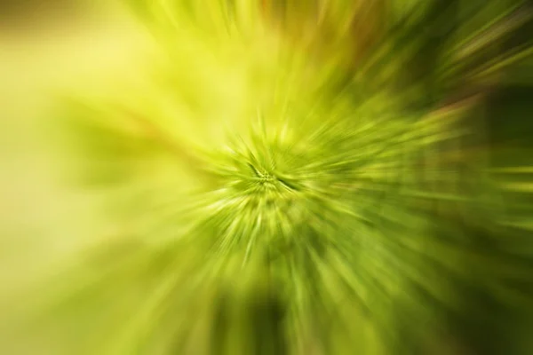 Abstrakter grüner Hintergrund. Explosionsstern — Stockfoto