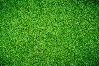 yeşil çimen dokusu arkaplanı