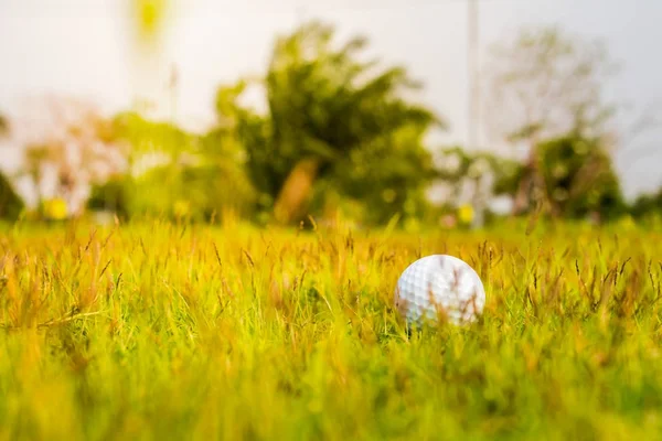 Yeşil Topta Golf Topu — Stok fotoğraf