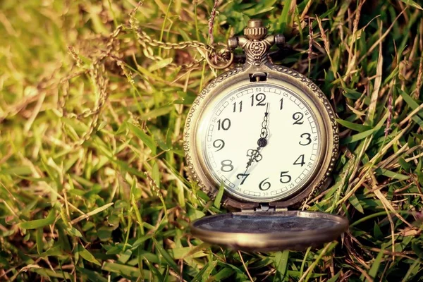 Reloj de bolsillo vintage con hierba verde —  Fotos de Stock