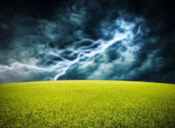 Campo di riso sulla tempesta di fulmini — Foto Stock