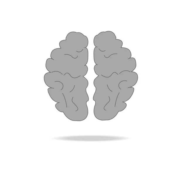 Ícone do cérebro isolado no fundo branco — Fotografia de Stock