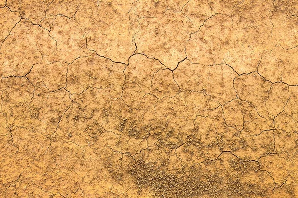 Fundo de textura do solo seco — Fotografia de Stock