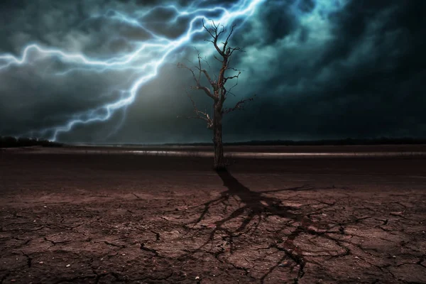 Aterrizar en el suelo seco agrietado y árbol seco. Con una tormenta eléctrica — Foto de Stock
