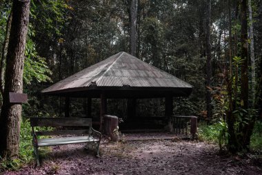 Orman Hall harika bir atmosfere sahiptir.