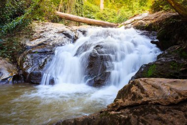 Tayland Mae Sa şelale