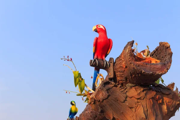 Schuss auf Auge des roten Aras Papageienvogel-Statue — Stockfoto