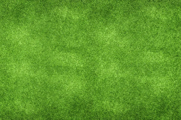 Zelená tráva pozadí prostor pro zadávání textu. — Stock fotografie