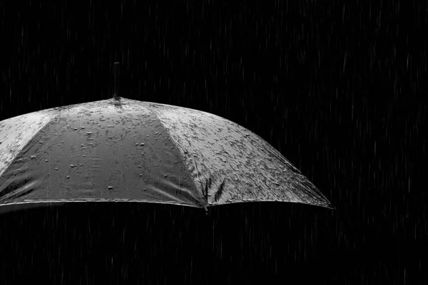 Černá a bílá Foto deštník — Stock fotografie