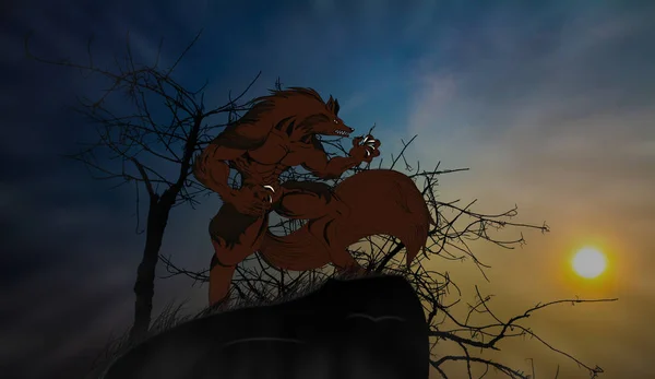 Werwolf Tier Säugetier Nacht — Stockfoto