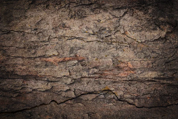 Ahşap duvar arka planda kullanım için — Stok fotoğraf