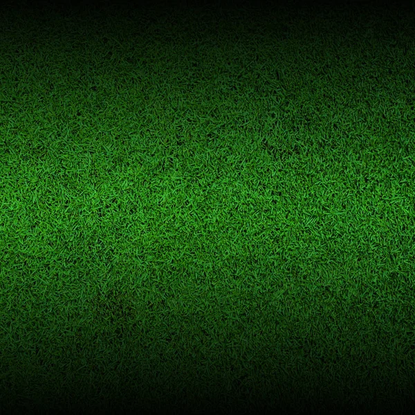 Green grass texture background — Stock Photo, Image