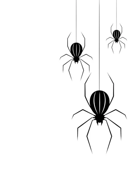 Araignée noire isolée sur fond blanc — Photo