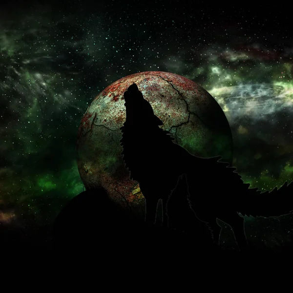 Вовк і повний місяць — стокове фото