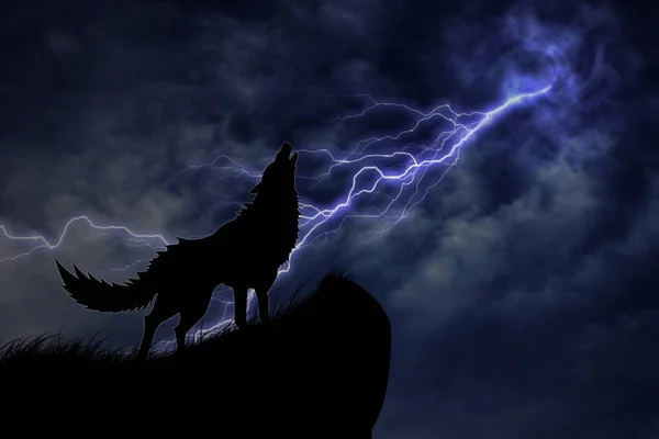 Wolf in silhouette to thunderstorm — Stock Photo, Image