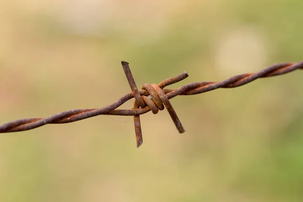 Ostnatý drát rez makro — Stock fotografie