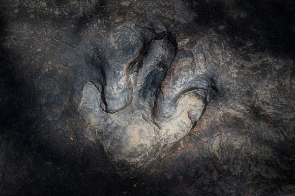 Gerçek dinozor ayak izi, Tayland. — Stok fotoğraf