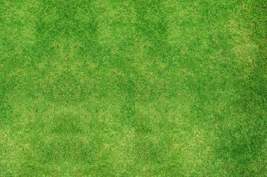 Yeşil çimen dokusu arkaplan üstü görünümü