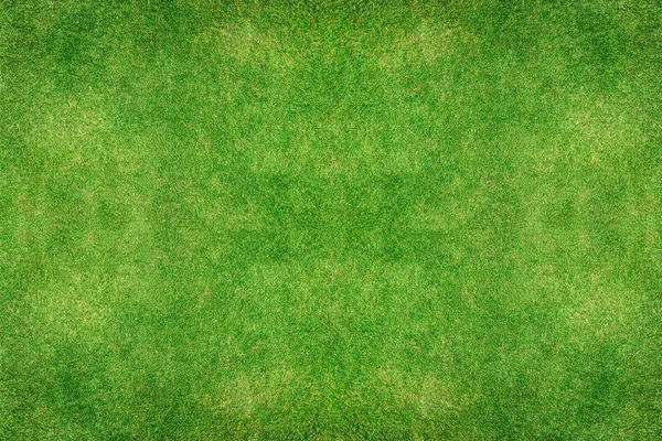 yeşil çimen dokusu arkaplanı