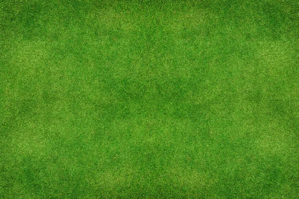 Yeşil çimen dokusu arkaplanı — Stok fotoğraf