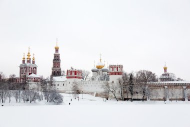 Novodevichy Manastırı, Moskova