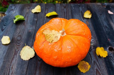 Ahşap arka plan üzerinde Halloween balkabağı 