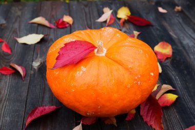 Ahşap arka plan üzerinde Halloween balkabağı 