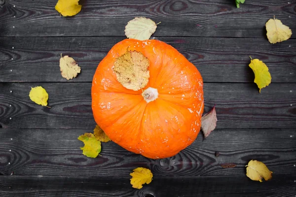 Calabaza para Halloween sobre fondo de madera — Foto de Stock