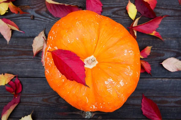 Pumpa till Halloween på trä bakgrund — Stockfoto