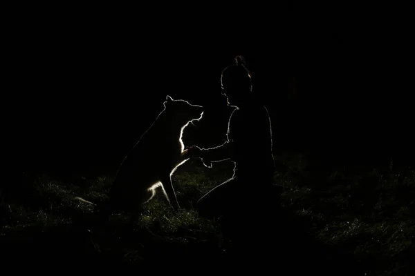 Man and dog Silhouette in the headlights — Stock Photo, Image