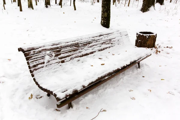 Snow on bench in winter park — Stock Photo, Image