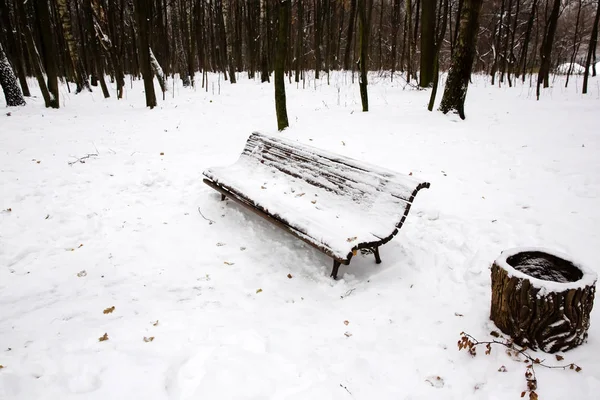 Neve no banco no parque de inverno — Fotografia de Stock