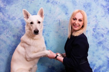 Güzel genç kadın ile mavi zemin üzerine beyaz köpek