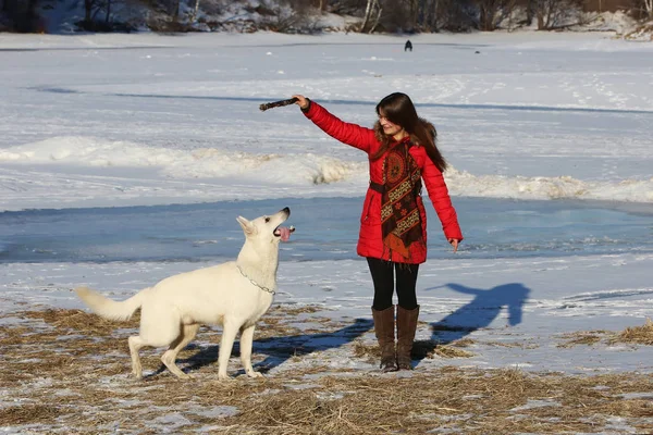 Frau spielt mit weißem Schäferhund — Stockfoto