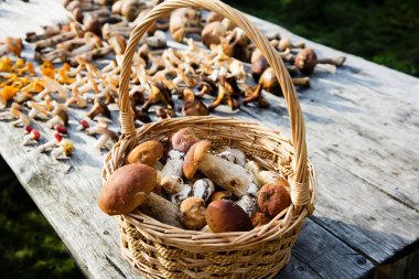 Taze çörek mantar sepeti