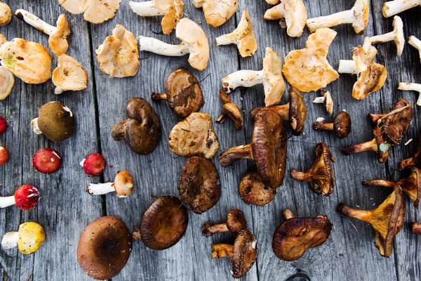 Свежие грибы на деревянном фоне
