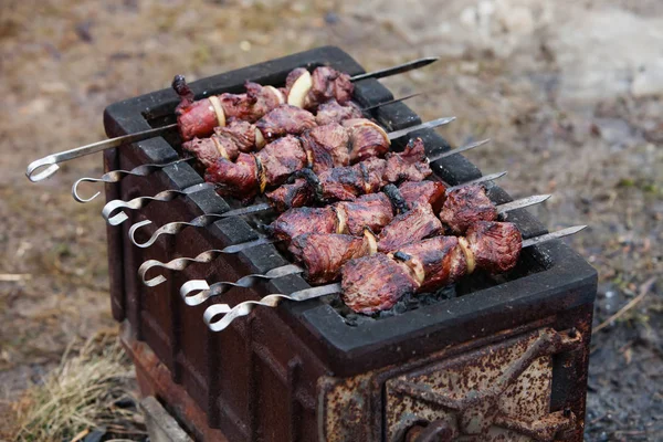 Viande fraîche marinée sur le gril — Photo