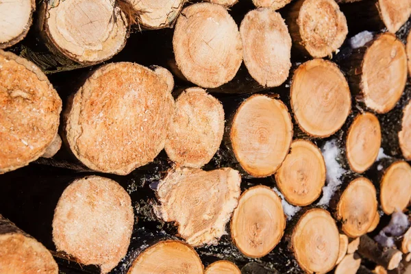 Wood texture wood fuel