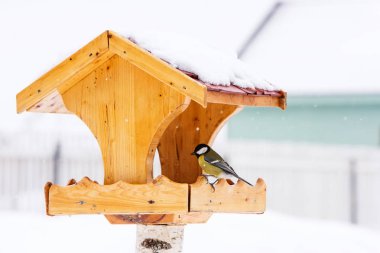 Годівниці для птахів з велика синиця
