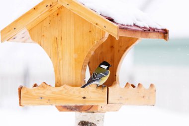 Годівниці для птахів з велика синиця